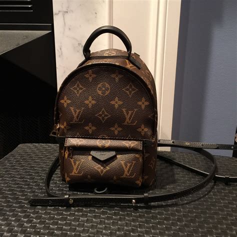 louis vuitton palm springs mm backpack|louis vuitton mini backpack wristlet.